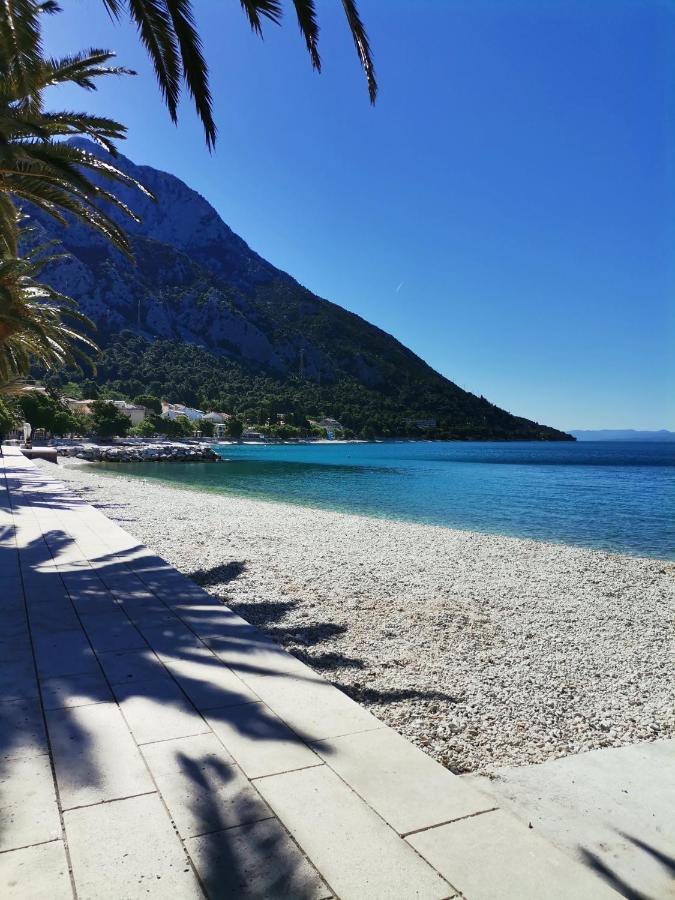 Studio Apartman Zana Lägenhet Gradac  Exteriör bild